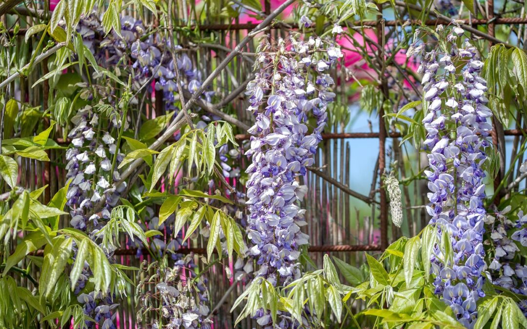 Top Hidden Affiliate Networks to Watch in 2025